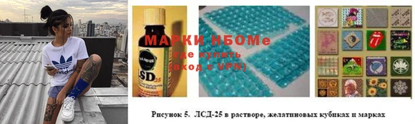 шишки Аркадак