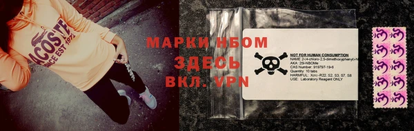 шишки Аркадак