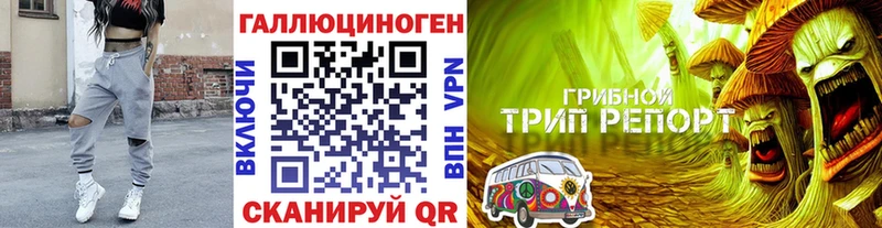 Галлюциногенные грибы Psilocybe  где найти наркотики  hydra как войти  Кимовск 